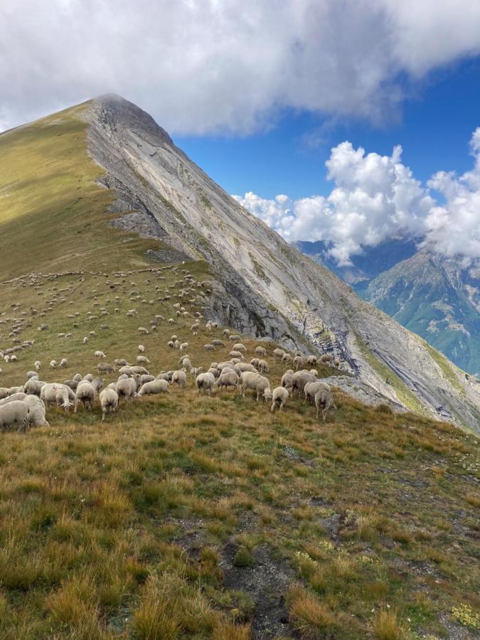 Maison individuelle au coeur du Parc des Ecrins Entraigues  Extérieur photo